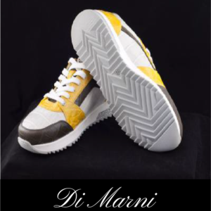 The Men's Casual Shoes
