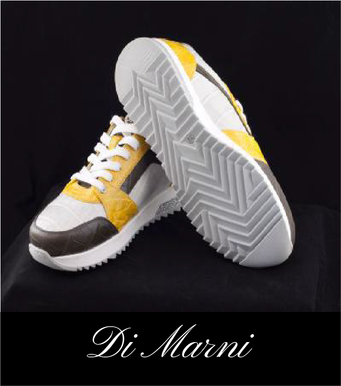 The Men's Casual Shoes
