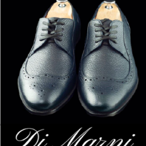 The Mens Dress Shoes