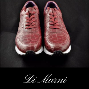 The Men's Casual Shoes red