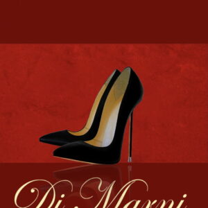 The Akhira x Classic Black Stiletto