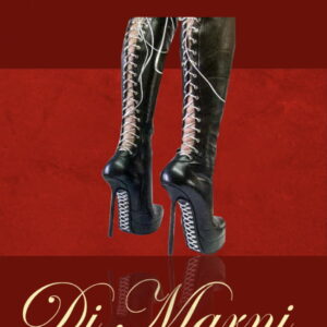 The Corset Stiletto Boots Black Matt Leather