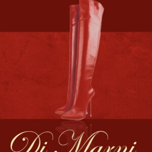 The Dorbean x Classic Red Leather Thigh Boot